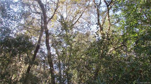 1578 E Monopoly Loop, Inverness, FL 34453 photo 4