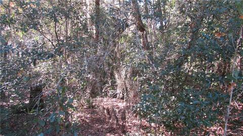 1578 E Monopoly Loop, Inverness, FL 34453 photo 5