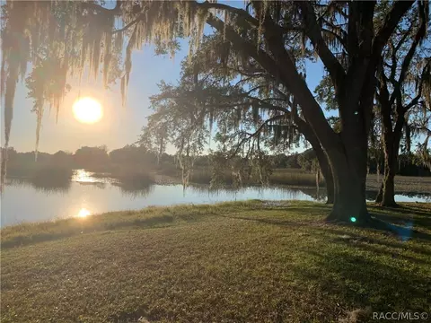 4486 E Islet Ct, Hernando, FL 34442 photo 23