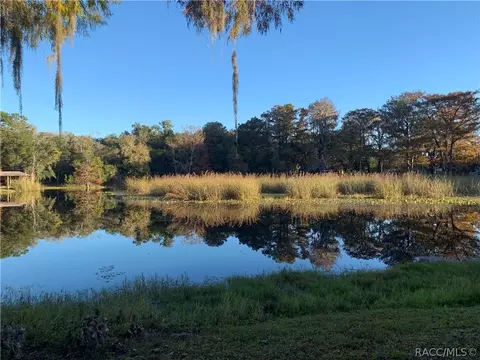 4486 E Islet Ct, Hernando, FL 34442 photo 4