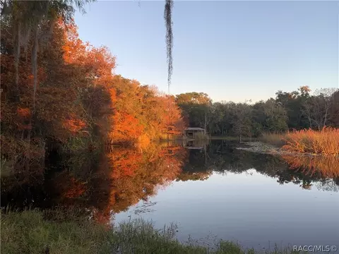 4486 E Islet Ct, Hernando, FL 34442 photo 31