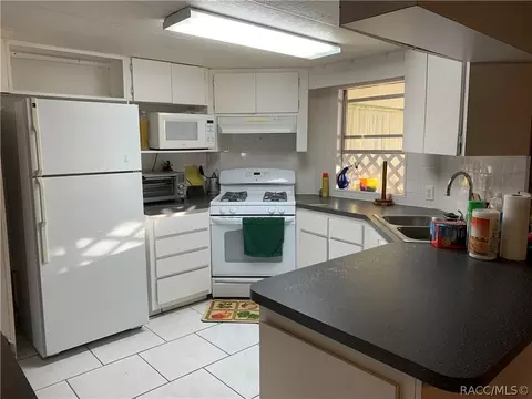 4486 E Islet Ct, Hernando, FL 34442 photo 16