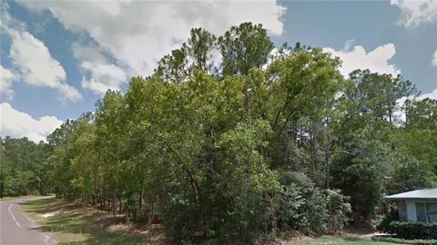 10126 N Biscayne Dr, Citrus Springs, FL 34434