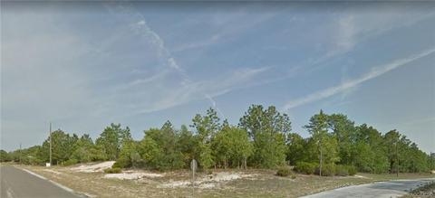 10520 N Inez Ter, Citrus Springs, FL 34433