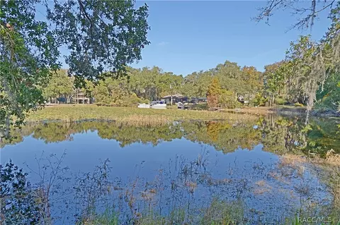 3675 E Diamond Ln, Hernando, FL 34442 photo 2