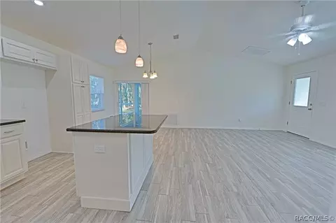 3675 E Diamond Ln, Hernando, FL 34442 photo 7