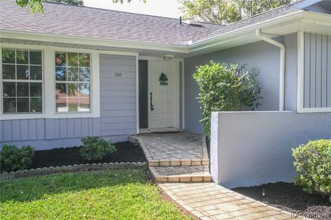 260 E Dakota Ct, Hernando, FL 34442 photo 2
