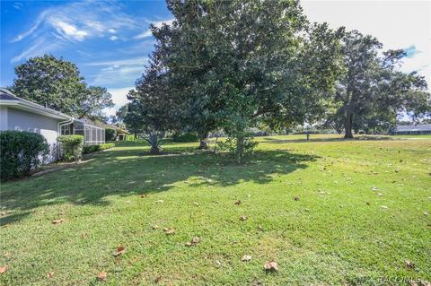 260 E Dakota Ct, Hernando, FL 34442 photo 41