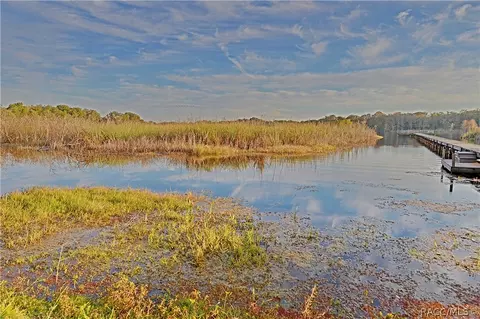 9300 E Windwood Loop, Inverness, FL 34450 photo 6