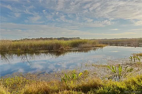 9300 E Windwood Loop, Inverness, FL 34450 photo 25