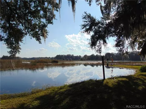 4328 E Thunderhill Loop, Hernando, FL 34442 photo 1