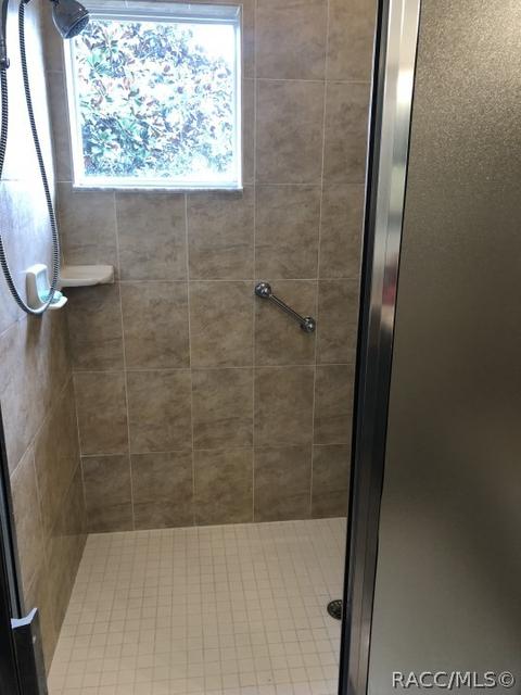 1596 W Spring Meadow Loop, Lecanto, FL 34461 photo 19