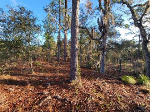 2492 W Bravura Dr, Citrus Springs, FL 34433