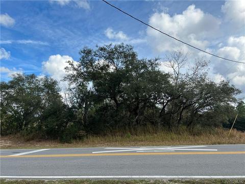 11241 N G Martinelli Blvd, Citrus Springs, FL 34433