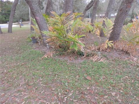 6770 N Dawson Dr, Hernando, FL 34442 photo 33