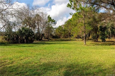 6970 N Palm Oak Dr, Hernando, FL 34442 photo 47