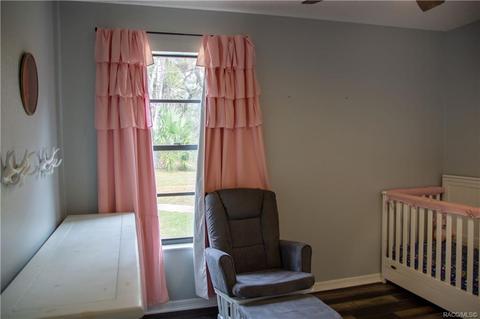 6970 N Palm Oak Dr, Hernando, FL 34442 photo 30