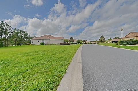 36 W Mickey Mantle Path, Hernando, FL 34442 photo 8