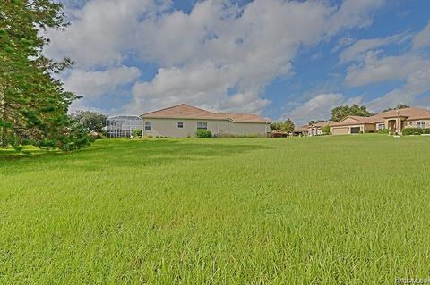 36 W Mickey Mantle Path, Hernando, FL 34442 photo 7