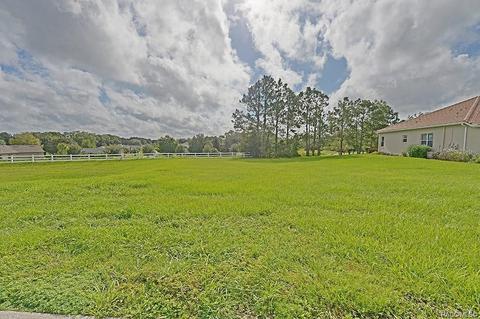 36 W Mickey Mantle Path, Hernando, FL 34442 photo 3