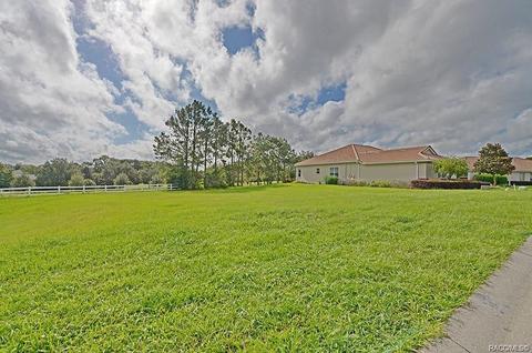 36 W Mickey Mantle Path, Hernando, FL 34442 photo 5