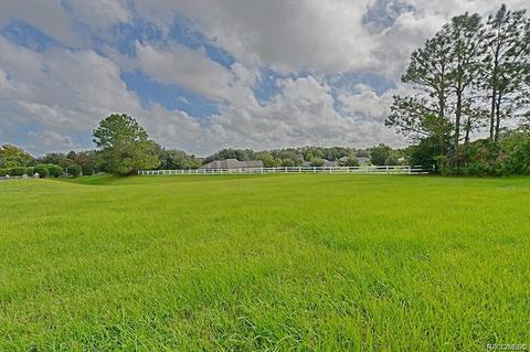 36 W Mickey Mantle Path, Hernando, FL 34442 photo 1