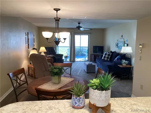 690 E Gilchrist Ct #3B, Hernando, FL 34442 photo 9