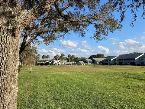 690 E Gilchrist Ct #3B, Hernando, FL 34442 photo 24