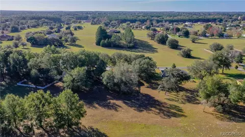 789 E Dunbar Ln, Hernando, FL 34442 photo 6