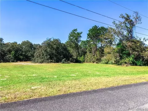 3164 N Clements Ave, Hernando, FL 34442 photo 4