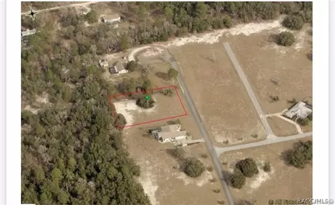 3164 N Clements Ave, Hernando, FL 34442 photo 6