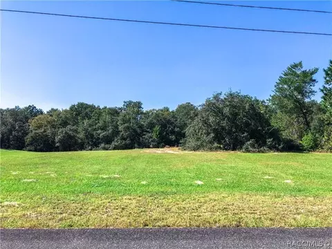 3164 N Clements Ave, Hernando, FL 34442 photo 1