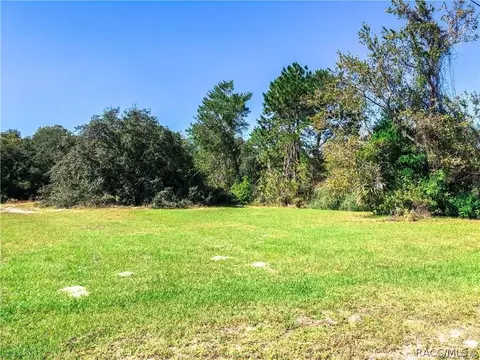 3164 N Clements Ave, Hernando, FL 34442 photo 2