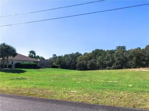 3164 N Clements Ave, Hernando, FL 34442 photo 3