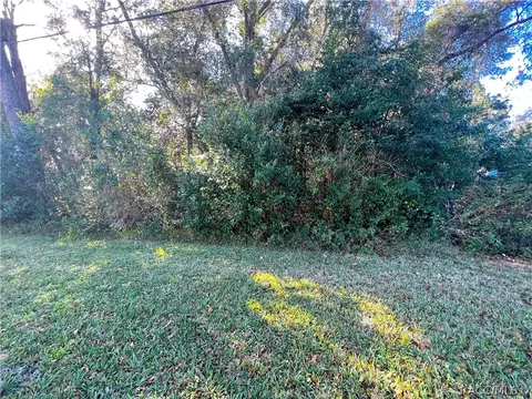 5134 N Tiger Eye Dr, Hernando, FL 34442 photo 4