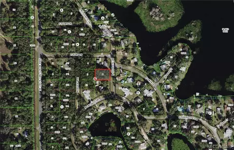 5134 N Tiger Eye Dr, Hernando, FL 34442 photo 13