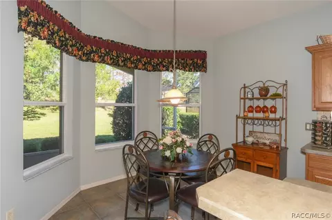 1369 W Diamond Shore Loop, Hernando, FL 34442 photo 15