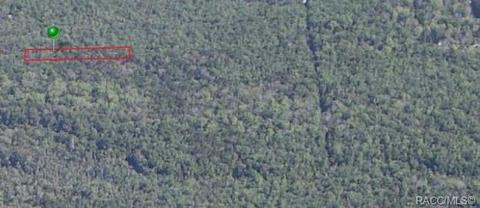 10855 W Wyandotte St, Homosassa, FL 34448