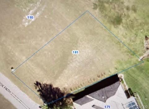 181 W Redsox Path, Hernando, FL 34442 photo 2