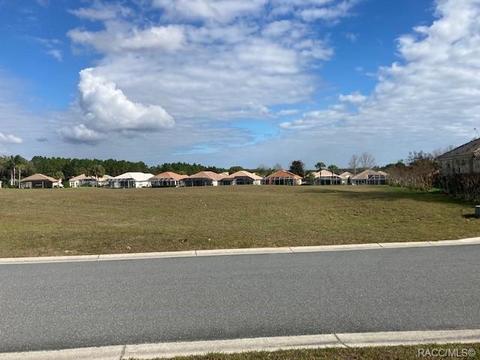 181 W Redsox Path, Hernando, FL 34442 photo 6
