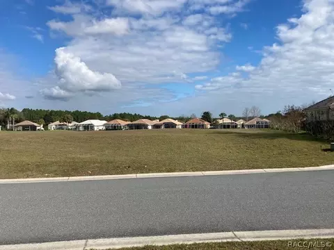 181 W Redsox Path, Hernando, FL 34442 photo 6