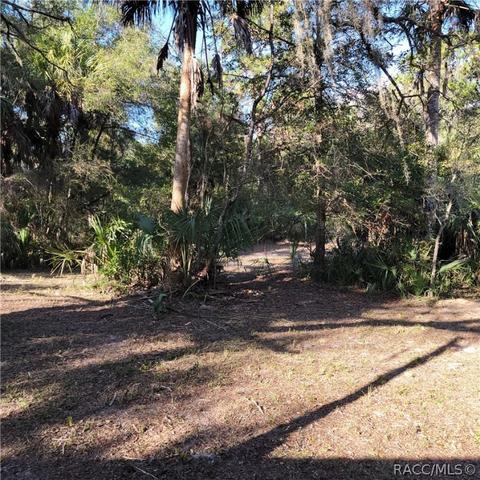 83 Rachel Ave, Inglis, FL 34449 photo 26