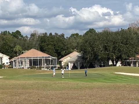 193 W Redsox Path, Hernando, FL 34442 photo 1