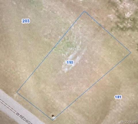 193 W Redsox Path, Hernando, FL 34442 photo 2