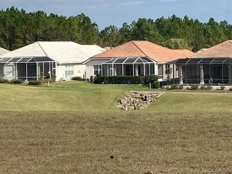 193 W Redsox Path, Hernando, FL 34442 photo 4