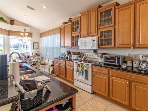 1376 W Diamond Shore Loop, Hernando, FL 34442 photo 15