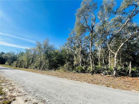 tbd Wagers Dr, Webster, FL 33597 photo 2