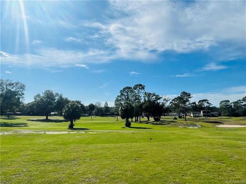 tbd Wagers Dr, Webster, FL 33597 photo 21