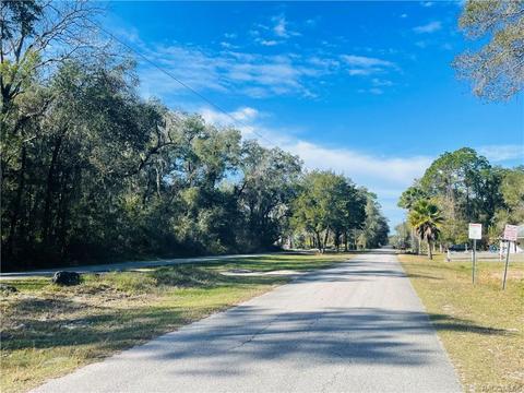 tbd Wagers Dr, Webster, FL 33597 photo 7