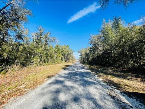 tbd Wagers Dr, Webster, FL 33597 photo 5